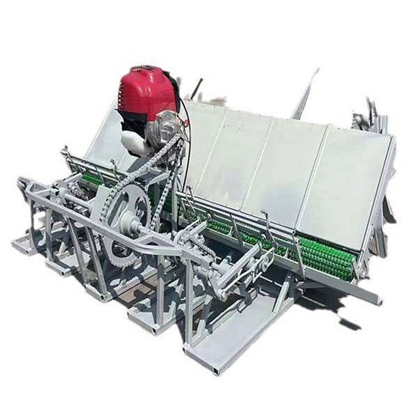 6行(xíng)水(shuǐ)稻插秧機(jī)